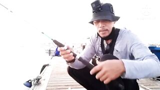 Al Khor Corniche — рыбалка с набережной: часть 6, что изменилось?