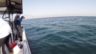 Al-Wakrah — 7 кг kingfish: морская рыбалка на пилькеры и воблеры