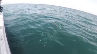 Al-Wakrah — 7 кг kingfish: морская рыбалка на пилькеры и воблеры