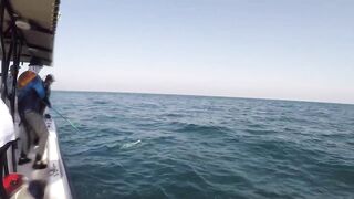 Al-Wakrah — 7 кг kingfish: морская рыбалка на пилькеры и воблеры