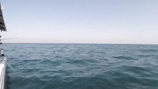 Al-Wakrah — 7 кг kingfish: морская рыбалка на пилькеры и воблеры