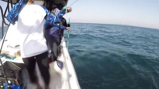 Al-Wakrah — 7 кг kingfish: морская рыбалка на пилькеры и воблеры