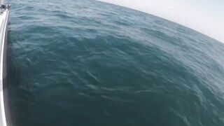 Al-Wakrah — 7 кг kingfish: морская рыбалка на пилькеры и воблеры