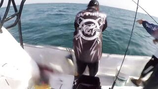 Al-Wakrah — 7 кг kingfish: морская рыбалка на пилькеры и воблеры