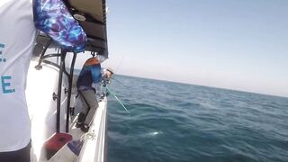 Al-Wakrah — 7 кг kingfish: морская рыбалка на пилькеры и воблеры