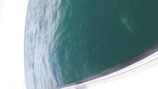 Al-Wakrah — 7 кг kingfish: морская рыбалка на пилькеры и воблеры