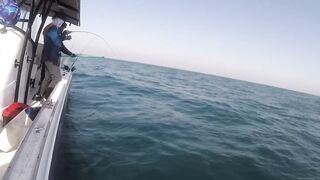 Al-Wakrah — 7 кг kingfish: морская рыбалка на пилькеры и воблеры