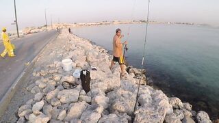 Al Wakrah, Qatar — hook fishing у пирса: прилив, оснастка, клев