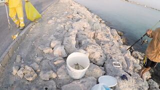Al Wakrah, Qatar — hook fishing у пирса: прилив, оснастка, клев