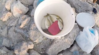 Al Wakrah, Qatar — hook fishing у пирса: прилив, оснастка, клев