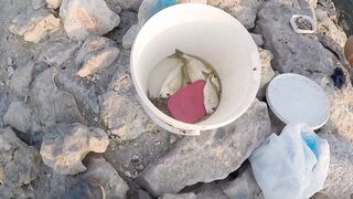 Al Wakrah, Qatar — hook fishing у пирса: прилив, оснастка, клев