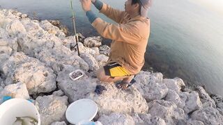Al Wakrah, Qatar — hook fishing у пирса: прилив, оснастка, клев