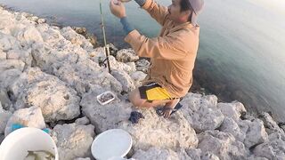 Al Wakrah, Qatar — hook fishing у пирса: прилив, оснастка, клев
