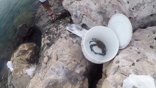 Al Wakrah — hook fishing: рыбалка в доке на закате