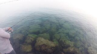 Al Wakrah — hook fishing: рыбалка в доке на закате