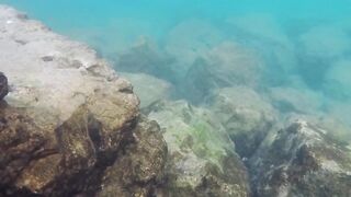 Al Wakrah — hook fishing: рыбалка в доке на закате