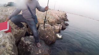 Al Wakrah — hook fishing: рыбалка в доке на закате