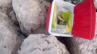 Al Wakrah — hook fishing: рыбалка в доке на закате