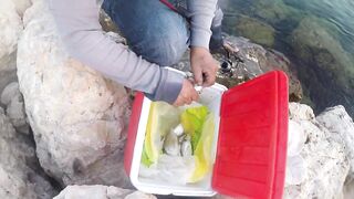 Al Wakrah — hook fishing: рыбалка в доке на закате