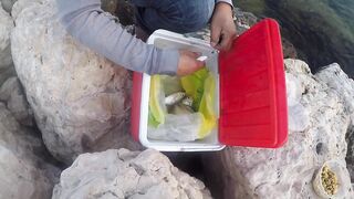 Al Wakrah — hook fishing: рыбалка в доке на закате