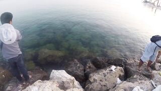 Al Wakrah — hook fishing: рыбалка в доке на закате