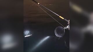 Banana Island, Qatar — морская рыбалка у свала: донка или джиг?