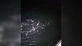 Banana Island, Qatar — морская рыбалка у свала: донка или джиг?