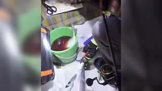 Banana Island, Qatar — морская рыбалка у свала: донка или джиг?