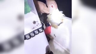 Banana Island, Qatar — морская рыбалка у свала: донка или джиг?