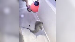 Banana Island, Qatar — морская рыбалка у свала: донка или джиг?