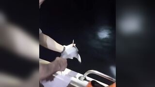 Banana Island, Qatar — морская рыбалка у свала: донка или джиг?