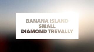Banana Island — small diamond trevally: морская рыбалка на плато