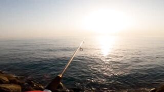 Banana Island — small diamond trevally: морская рыбалка на плато