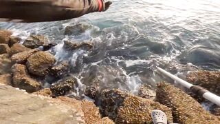 Banana Island — small diamond trevally: морская рыбалка на плато