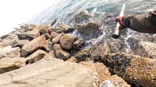 Banana Island — small diamond trevally: морская рыбалка на плато