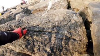 Banana Island — small diamond trevally: морская рыбалка на плато