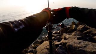 Banana Island — small diamond trevally: морская рыбалка на плато