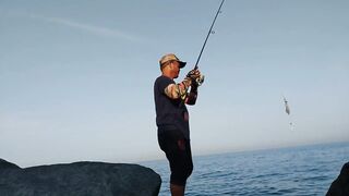 UAE, Banana Island: кальмары на свет — ночная оснастка и проводки