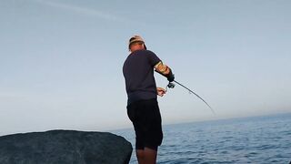 UAE, Banana Island: кальмары на свет — ночная оснастка и проводки