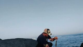 UAE, Banana Island: кальмары на свет — ночная оснастка и проводки