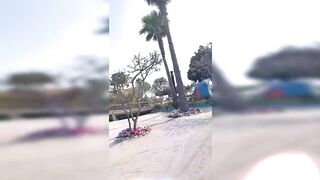 Banana Island Qatar 2020 — куда делась стая, ищем «птичку»?