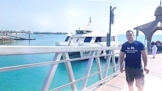 Banana Island Qatar 2020 — куда делась стая, ищем «птичку»?