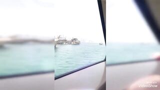 Banana Island Qatar 2020 — куда делась стая, ищем «птичку»?