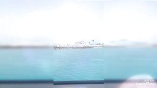 Banana Island Qatar 2020 — куда делась стая, ищем «птичку»?