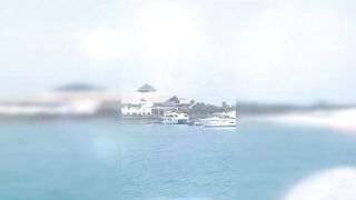 Banana Island Qatar 2020 — куда делась стая, ищем «птичку»?