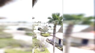 Banana Island Qatar 2020 — куда делась стая, ищем «птичку»?