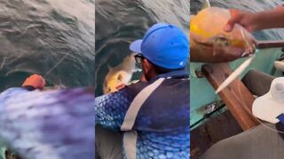 Aqaba — чемпионат подводной охоты: где зрителям лучше смотреть?