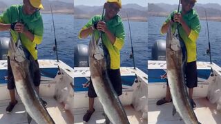 Акаба, Jordan - sailfish у рифа: морская рыбалка в Красном море когда лучше идет?