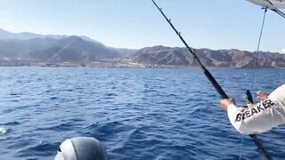 Акаба, Jordan — лучший выезд с гидом: маршруты и результаты