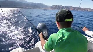 Акаба, Jordan — лучший выезд с гидом: маршруты и результаты